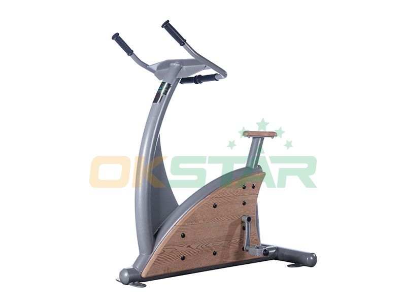 LK-Z01 wpc outdoor exercise equipment Fitness Bike