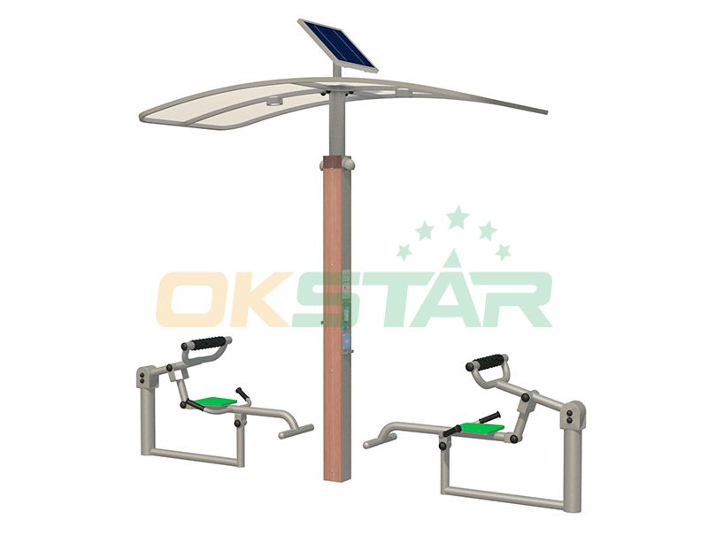 ISO approved outdoor gym equipment Back trainer